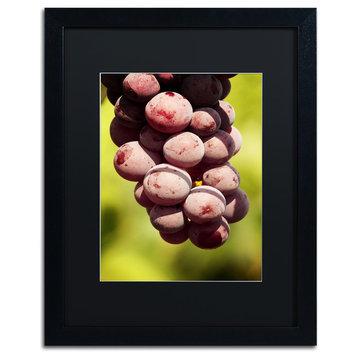 Jason Shaffer 'Homegrown Grapes', Black Frame, Black Mat, 16x20