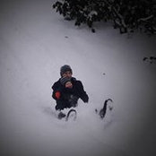 Foto von Josh Glatman