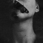 Amel Elreedy's photo