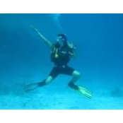 Amr Alabbasy's photo