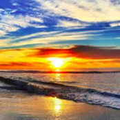 Lisa Sato's photo