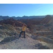 Kim Ostland's photo
