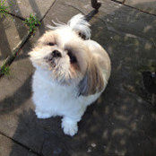 Lauren Douglas's photo