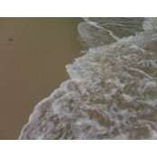 Tessorrina P's photo