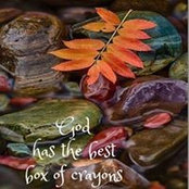 Shirley Seitz's photo