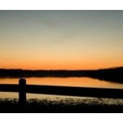 Michael Bukowski's photo