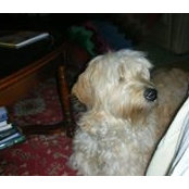 Nancy Velek's photo