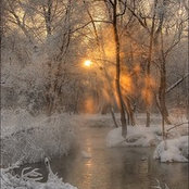Jeanne Putz's photo