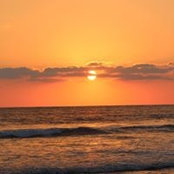 Gillian Turner's photo