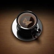 Denise Rucci's photo