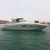 Carol Cavanaugh's photo