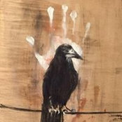 Jesse Kramer-Parr's photo