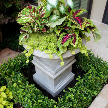 Charleston Style Courtyard - East Shore, Woodlands