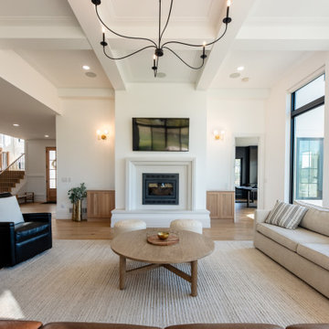 Transitional Living Room