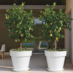 Mitu Ringed Cone Planter - Products
