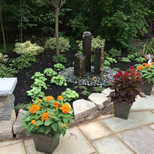 Landscape Ideas