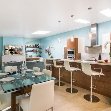 Mid-Century Modern Kitchen & Great Room