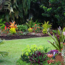 Florida Landscaping