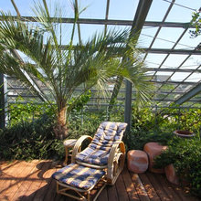 Greenhouse House