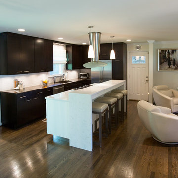 Silver Spring Modern Kitchen Design Remodel