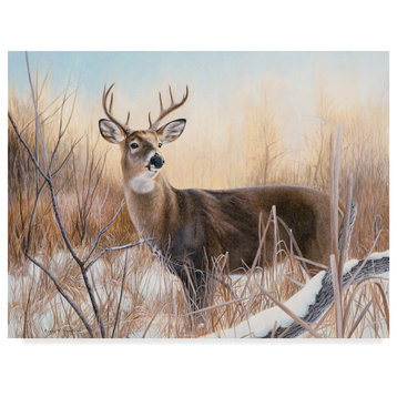 Rusty Frentner 'Big Buck' Canvas Art, 19"x14"