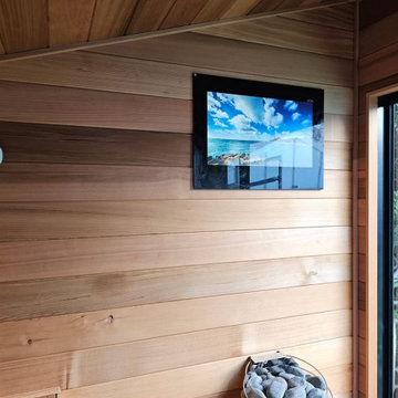 Sauna Televisions