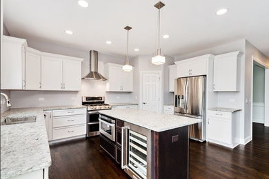 Kitchen - contemporary kitchen idea in Chicago