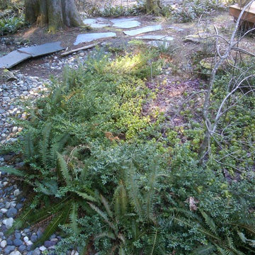 RAIN GARDENS & OUR RAIN GARDEN ISLAND (SM)