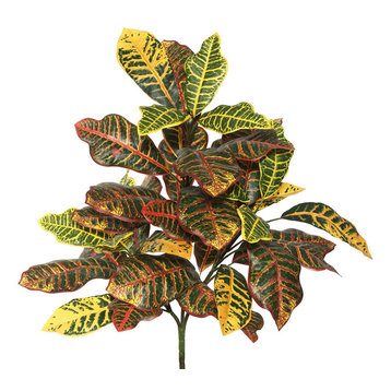 Vickerman 34" Cronton Plant X 3 With 40 Leaves, Green/Ora