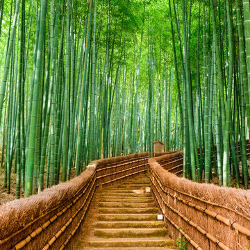 Bamboo Poles