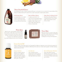 Home Detox with Essential Oils - Household Cleaning Supplies