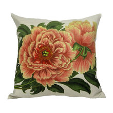 Throw pillows