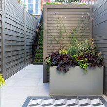 Entrance To House/stairs From Carport