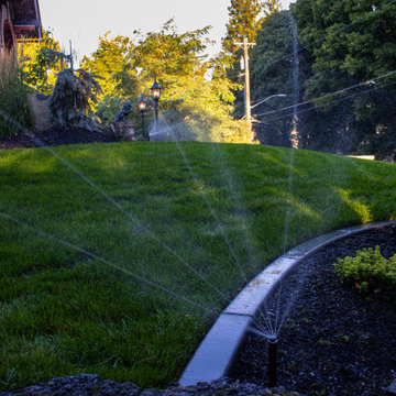 Lawn Renovations