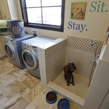 Dog wash