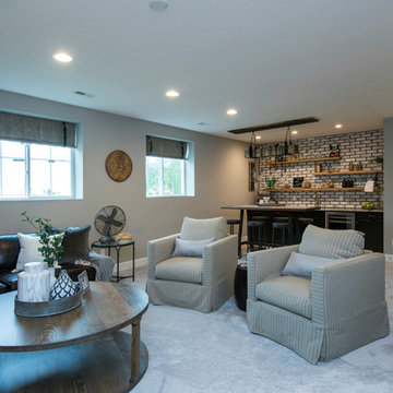 Game Rooms & Media Rooms