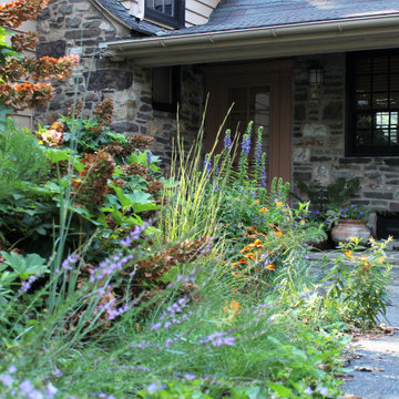 Wild Oasis In The City
