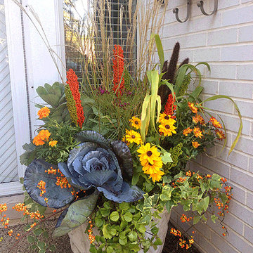 Potted Gardens