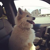 Jon Gibson's photo
