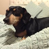 Jennifer Robidas's photo