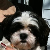 Janet Roth's photo