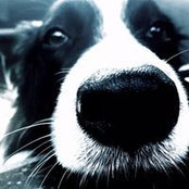 Laura Nelson's photo