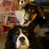 Sarah McNeely's photo