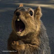 Tarra Johnson's photo