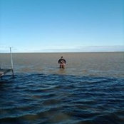 Will St Aubin's photo