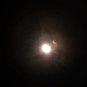 Shannon Jackson's photo