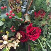 Foto von Sue Davies