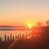 Suzanne Harold's photo