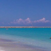 Ghada Farouk Hassan's photo