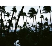 Vicki Bauerさんの写真